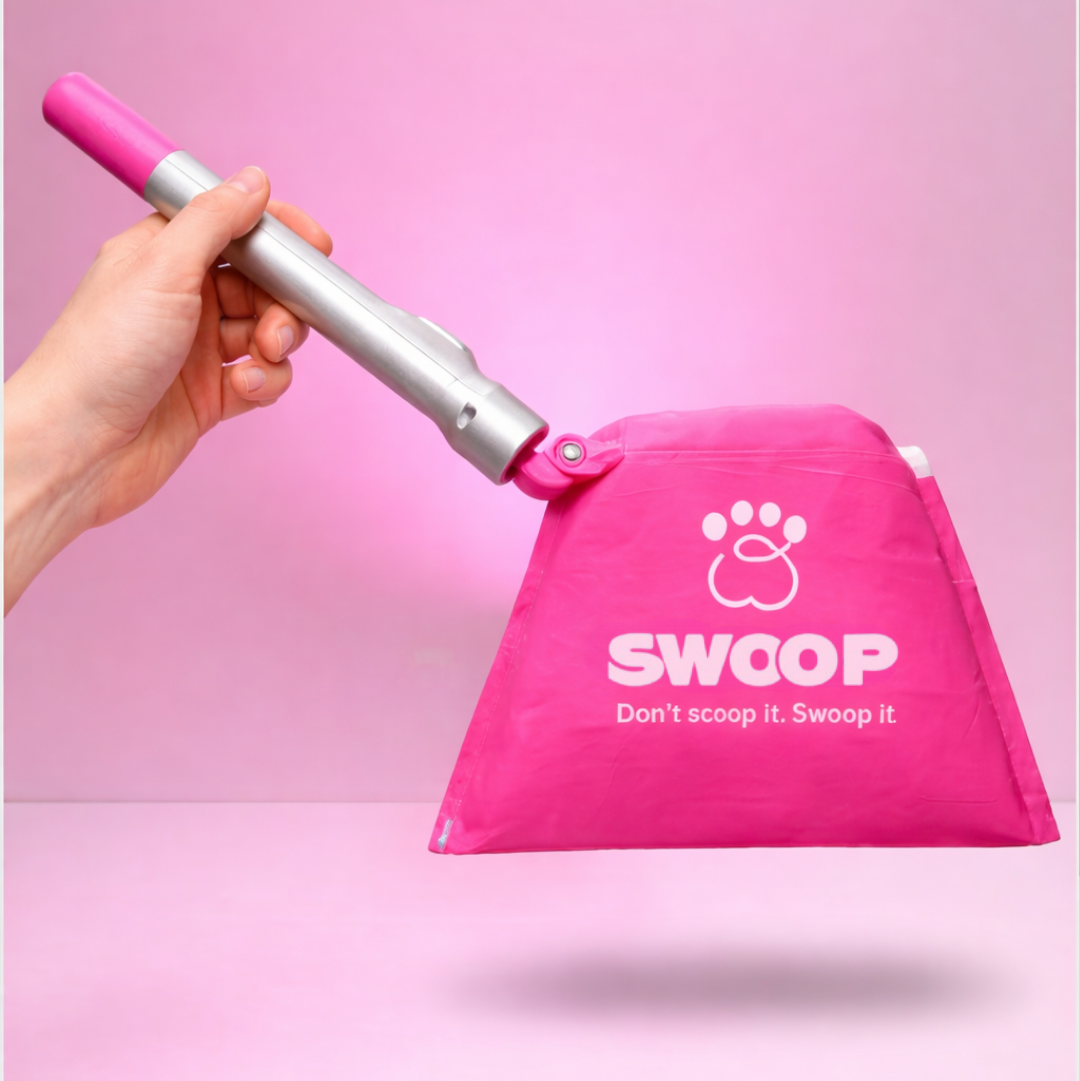 Swoop Catcher