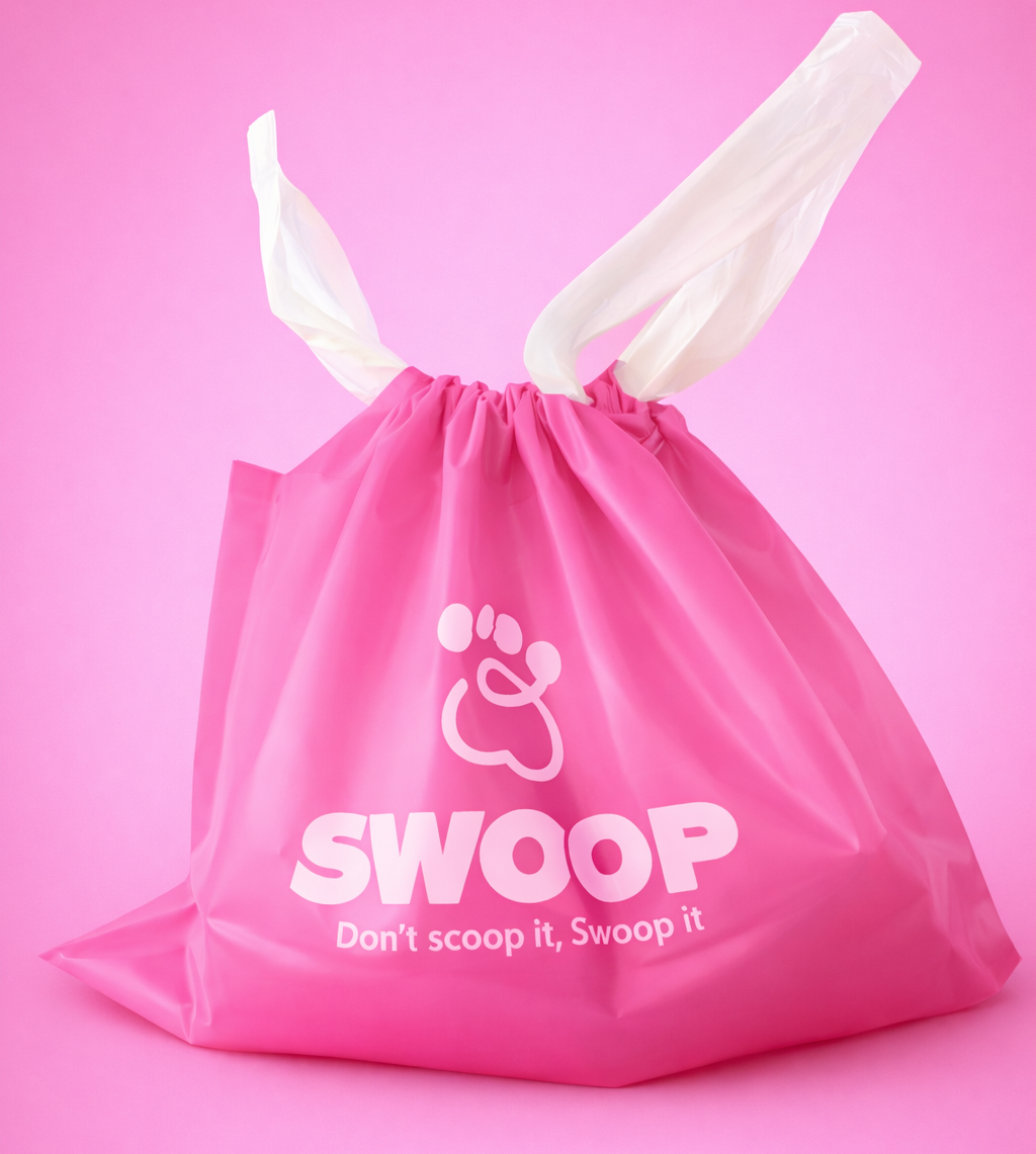 Swoop Catcher