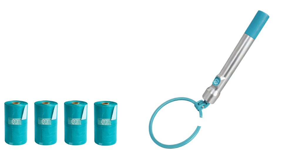 Turquoise