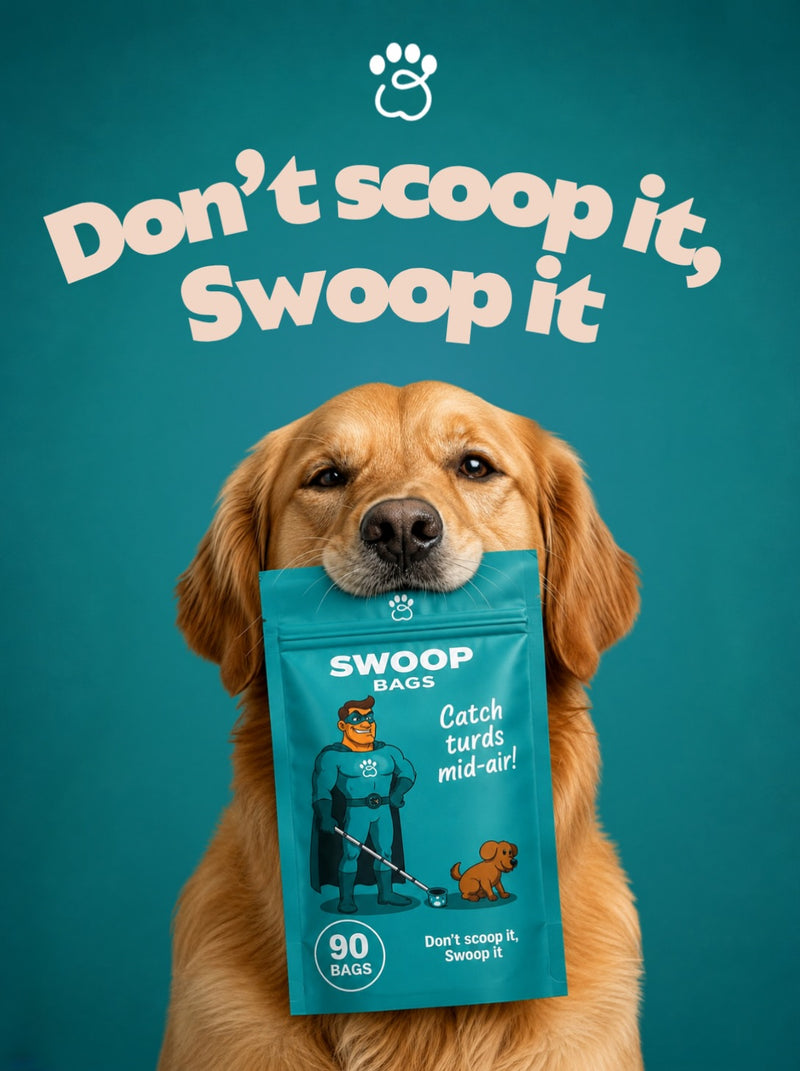 Swoop Bags